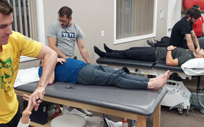 What to Expect From Advanced Manual Therapy Certification Programs